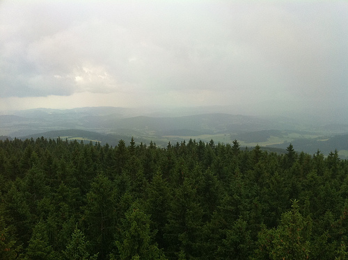 top of lookout