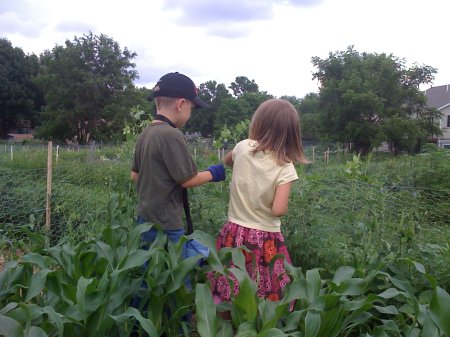 pea pickers