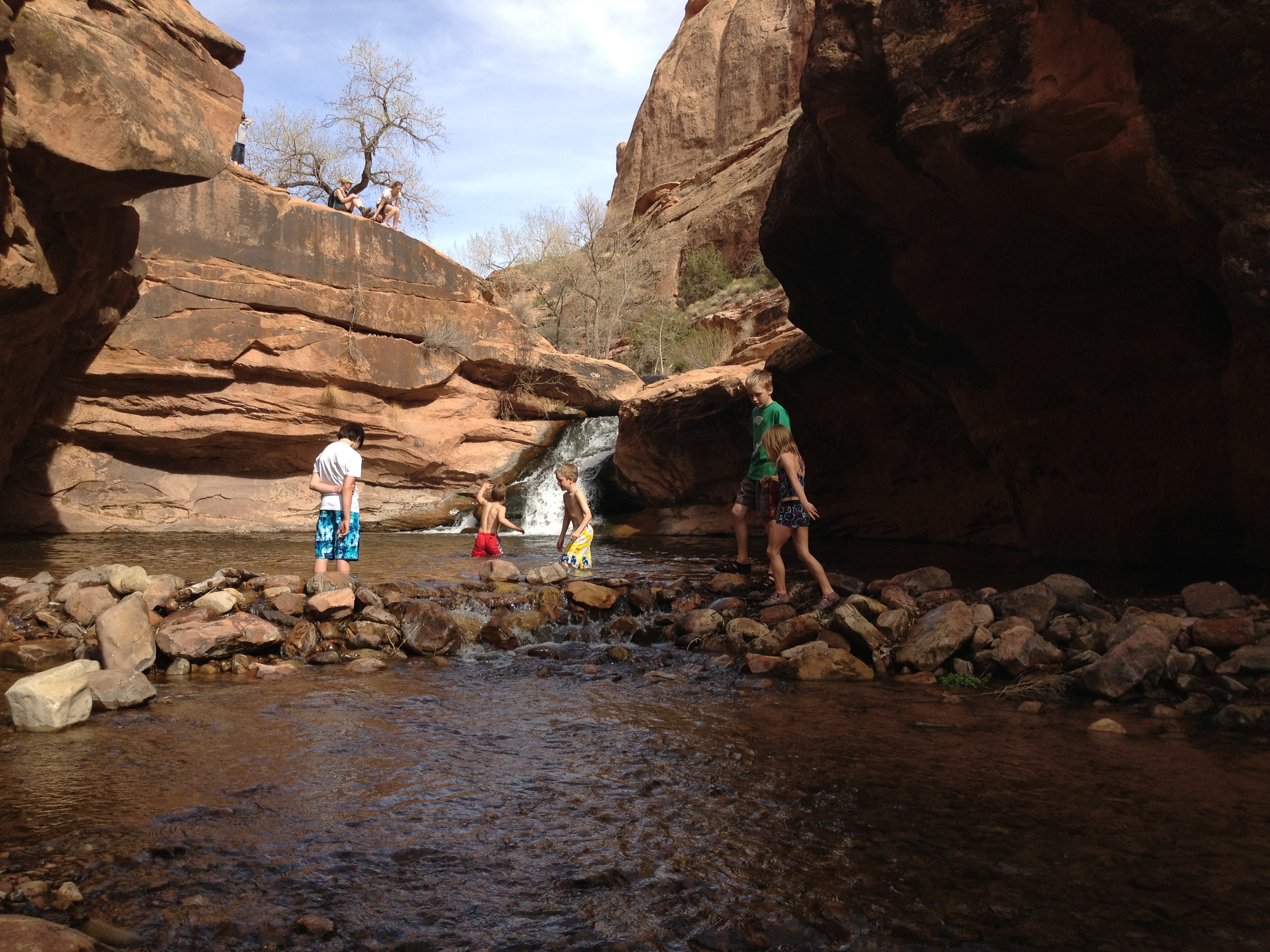 watering hole